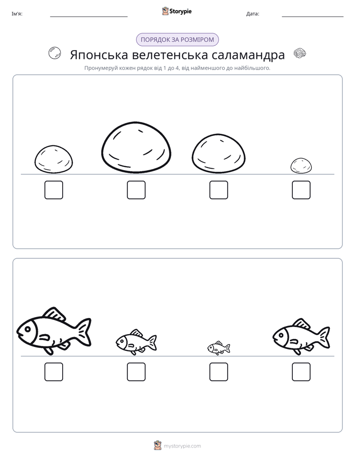 Порядок Розміру