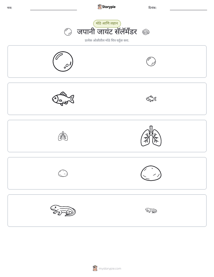 वर्गीकरण