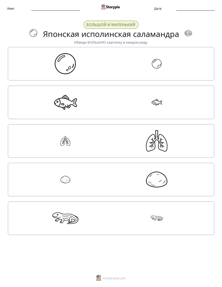 Сортировка