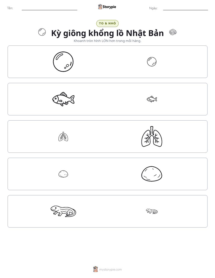 Phân Loại