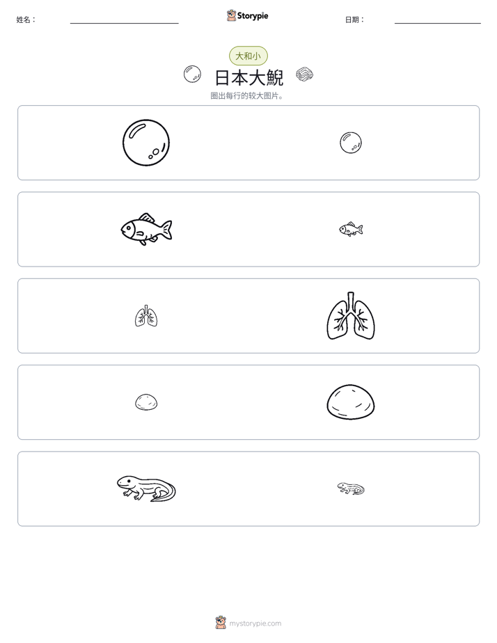 分类