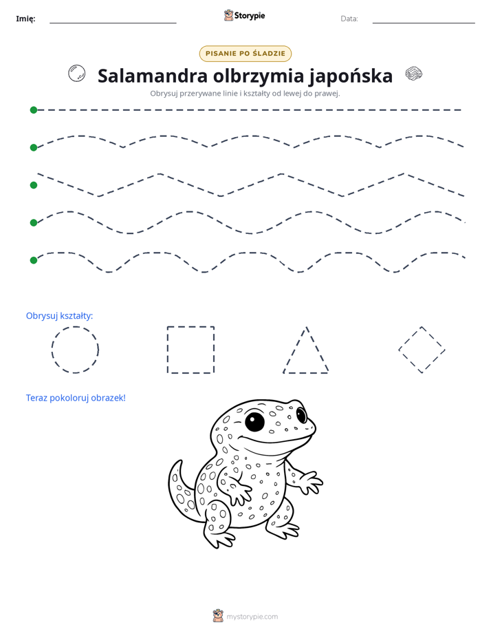 Śledzenie
