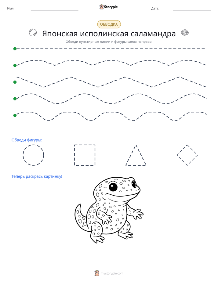 Обводка