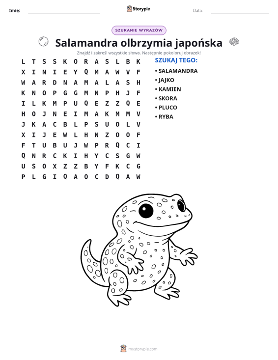 Krzyżówka