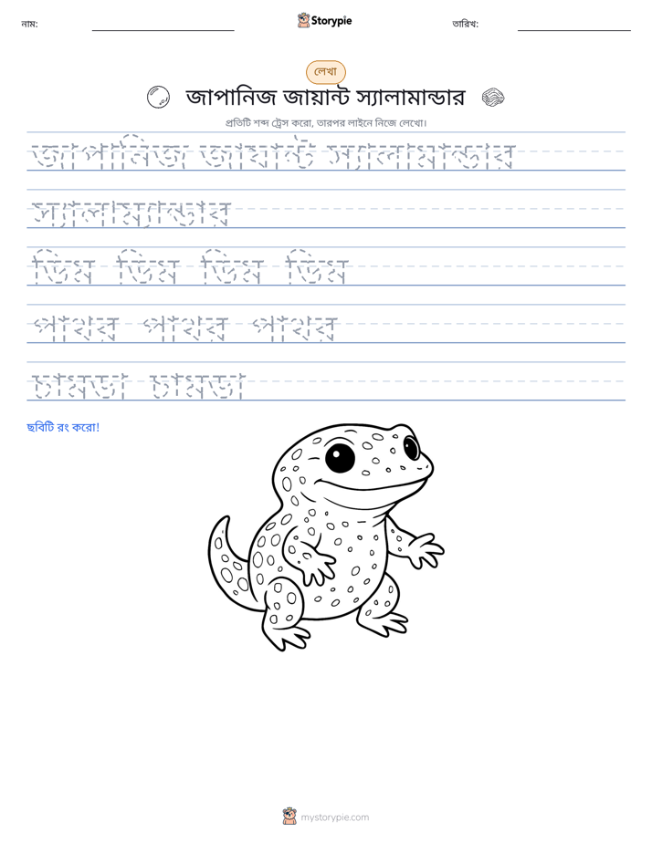 লেখার অনুশীলন