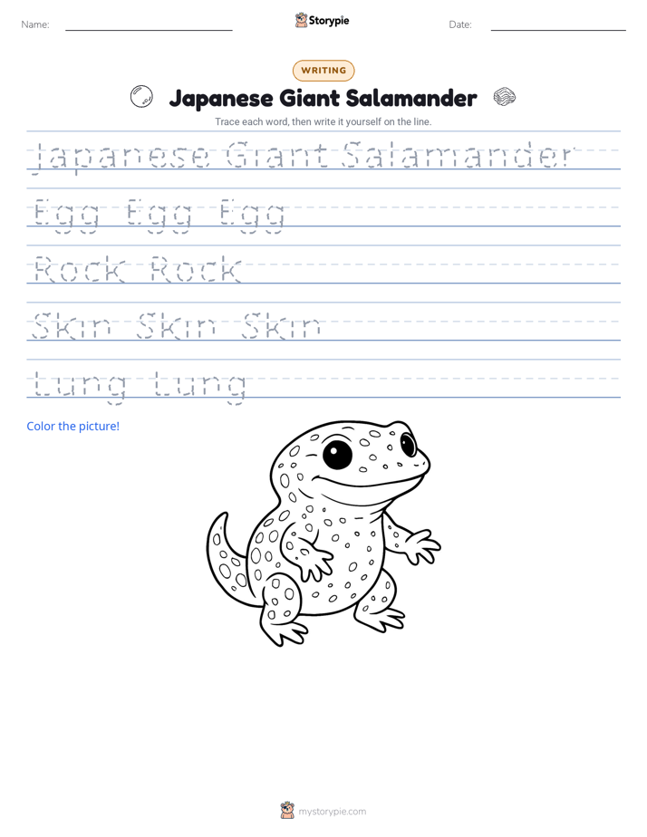 Writing Practice