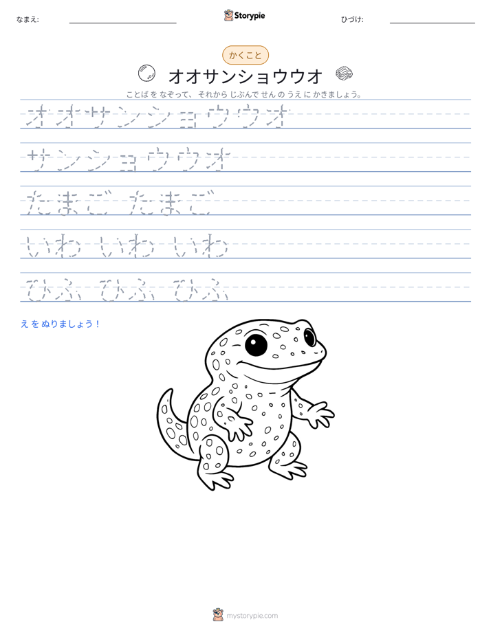 書き取り練習