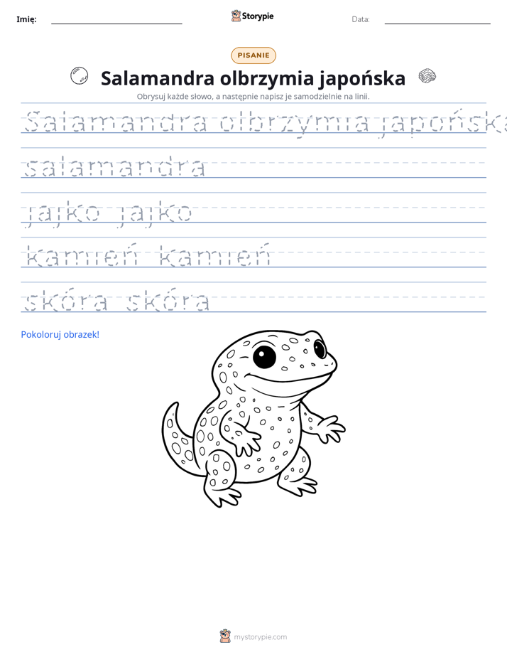 Ćwiczenie Pisania