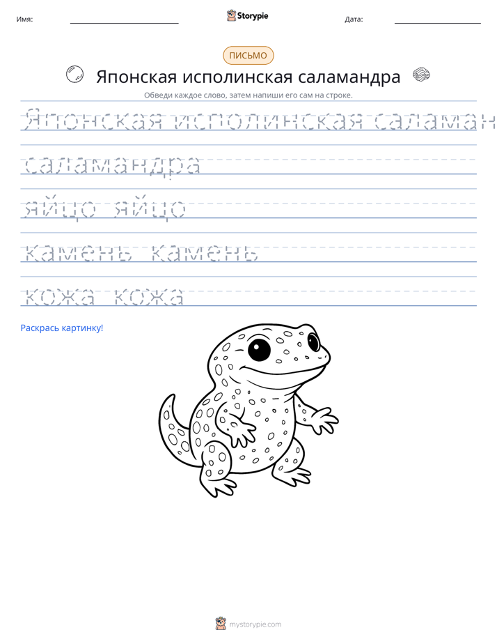 Практика письма