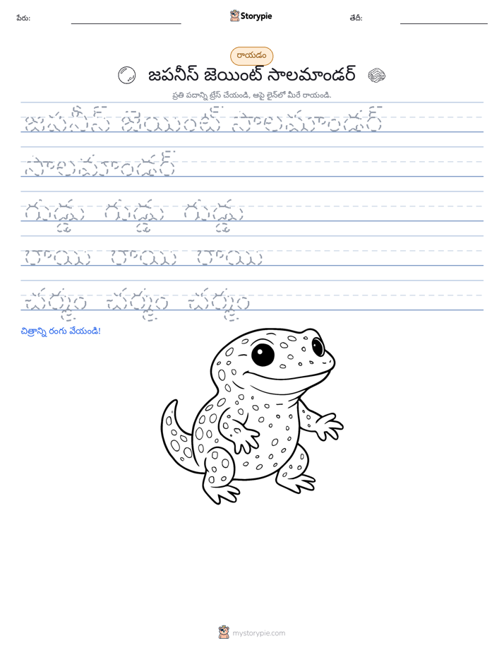 రాయడం సాధన
