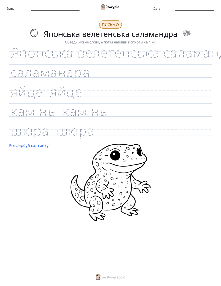 Практика письма