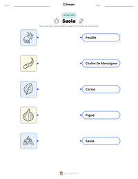 Aperçu de la feuille de travail imprimable Saola