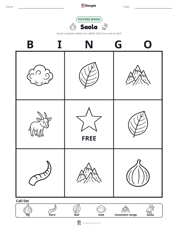 Picture Bingo