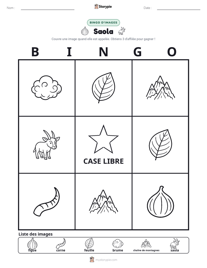 Bingo d'Images