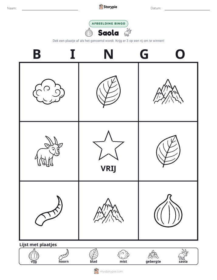 Afbeelding Bingo