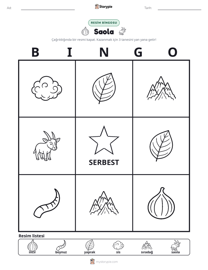 Resim Bingo
