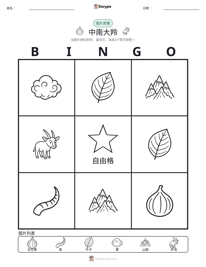 图片宾果