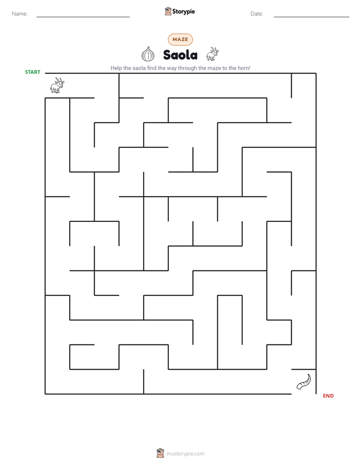 Maze