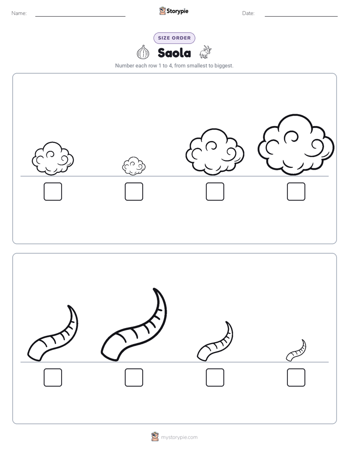 Size Order