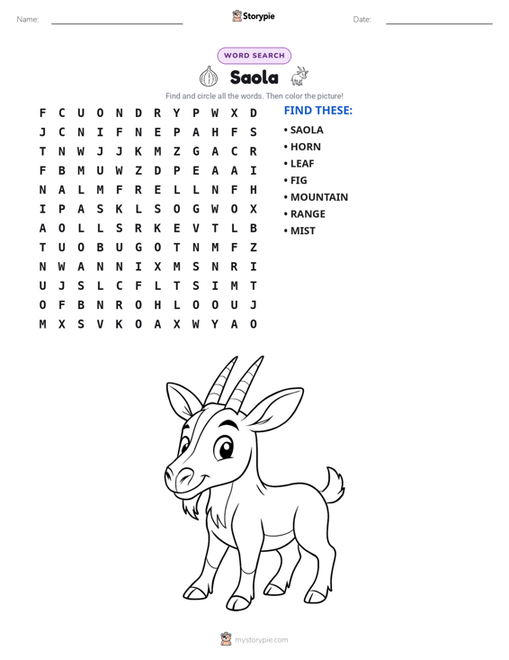Word Search