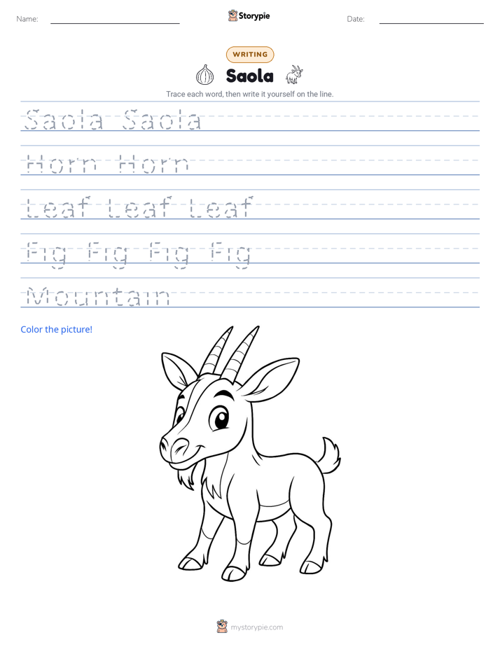 Writing Practice