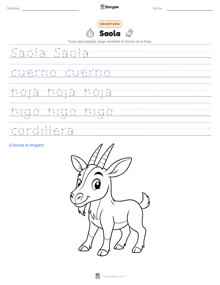 Práctica de Escritura