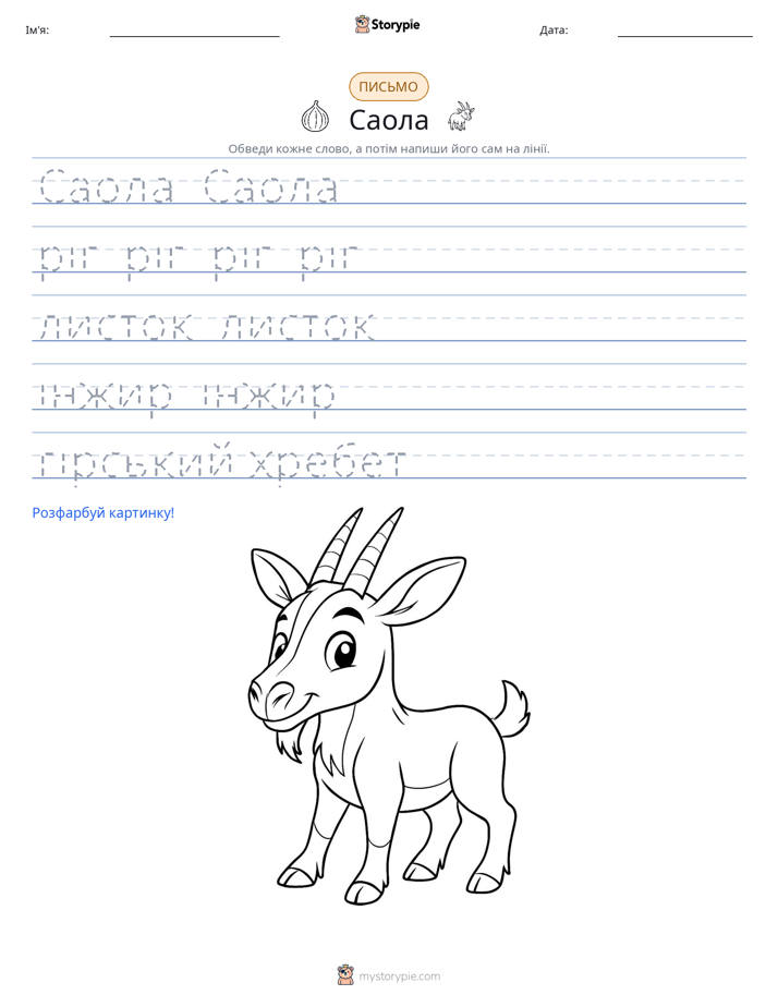 Практика письма