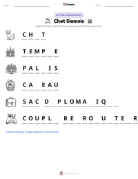 Aperçu de la feuille de travail imprimable Chat Siamois