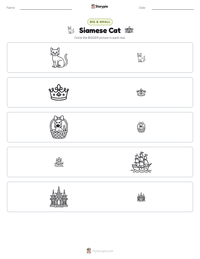 Siamese Cat printable worksheet preview