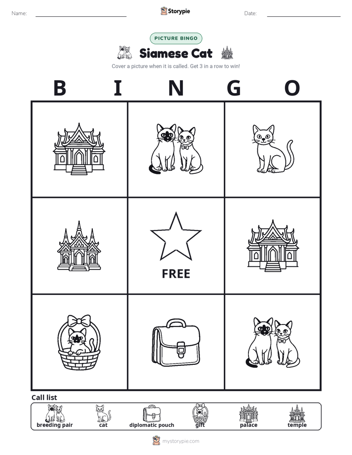 Picture Bingo