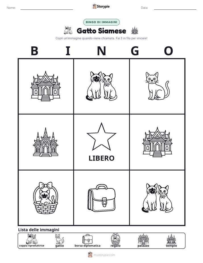 Bingo delle Immagini