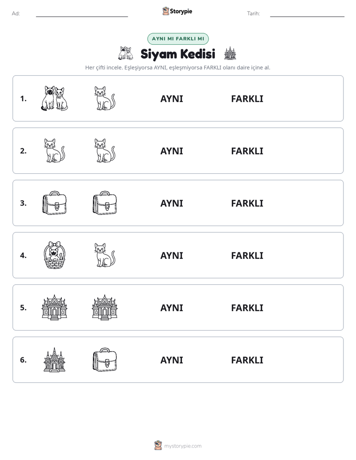 Aynı mı Farklı mı
