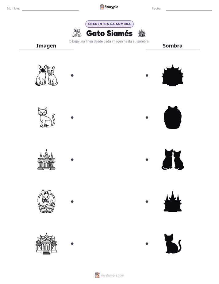Coincidencia de Sombras