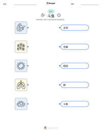 斗鱼 可打印工作表预览