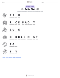 Betta Fish printable worksheet preview