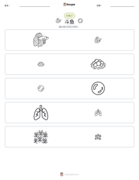 斗鱼 可打印工作表预览