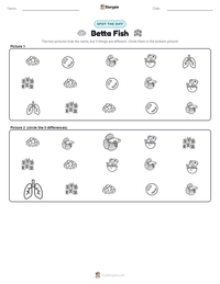 Betta Fish printable worksheet preview