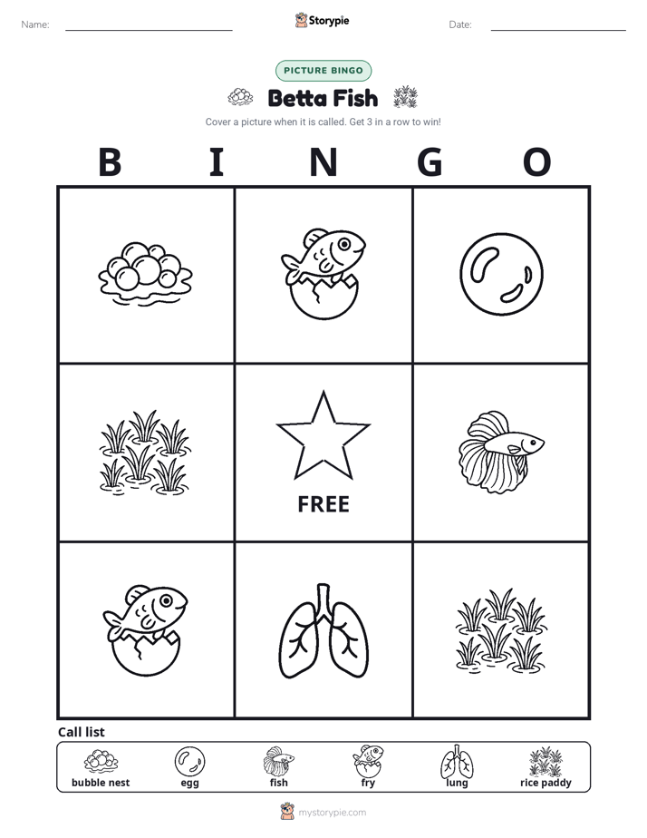 Picture Bingo