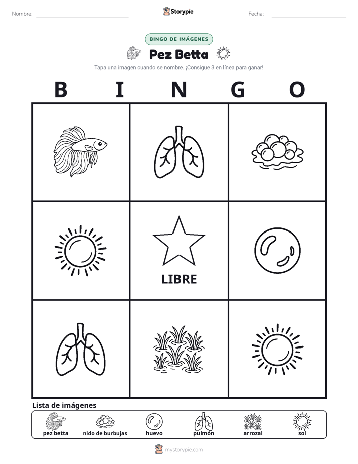 Bingo de Imágenes