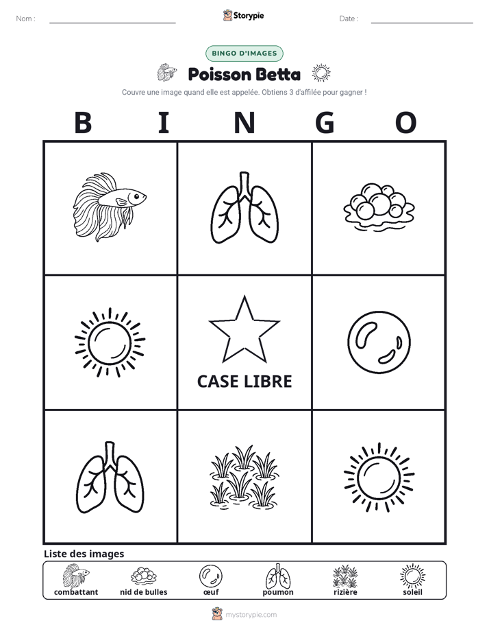 Bingo d'Images