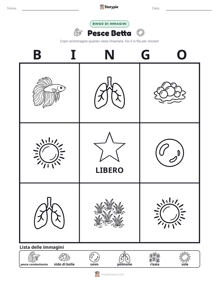 Bingo delle Immagini