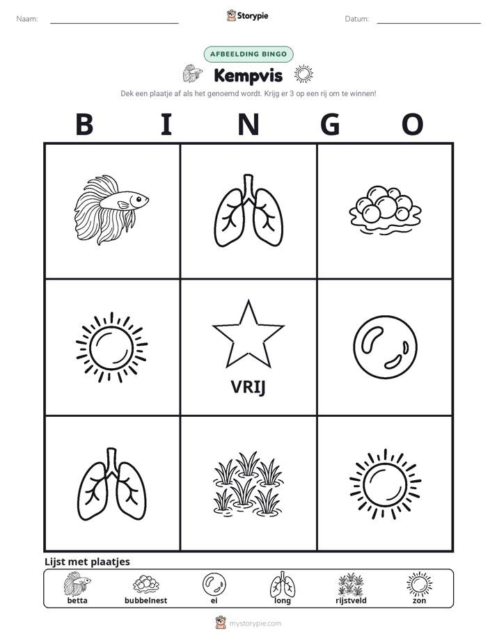 Afbeelding Bingo