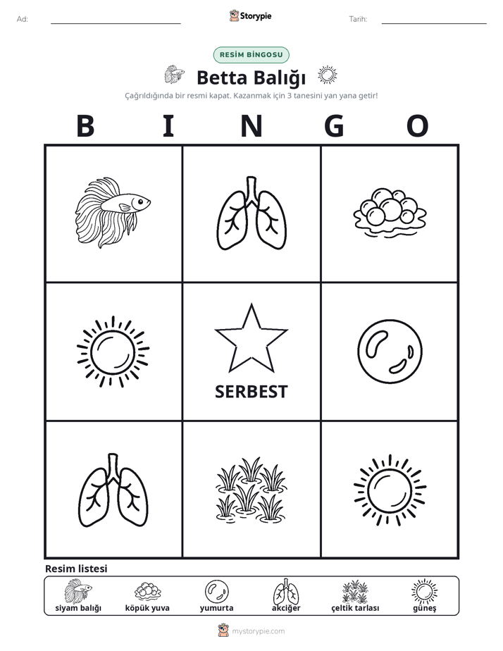 Resim Bingo