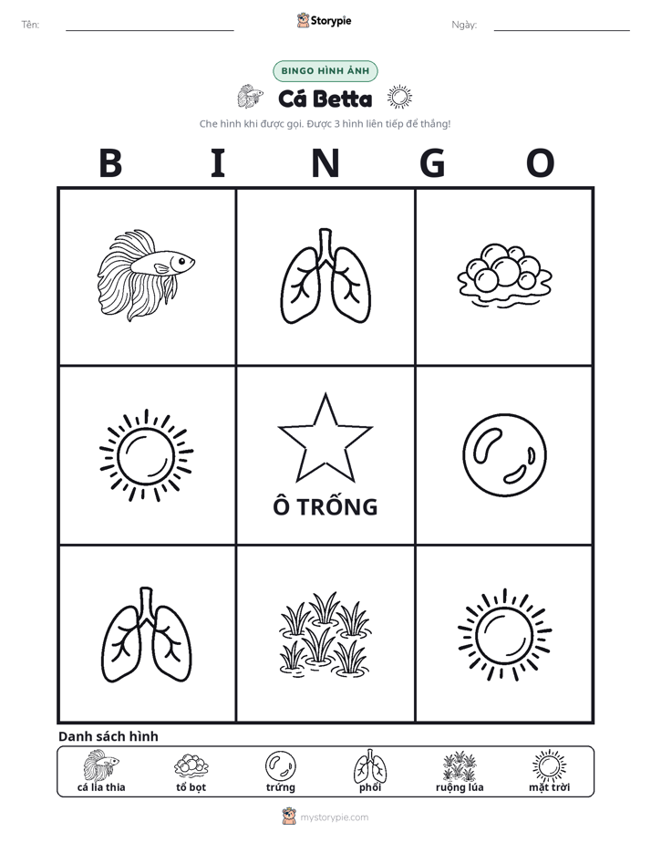 Bingo Hình Ảnh