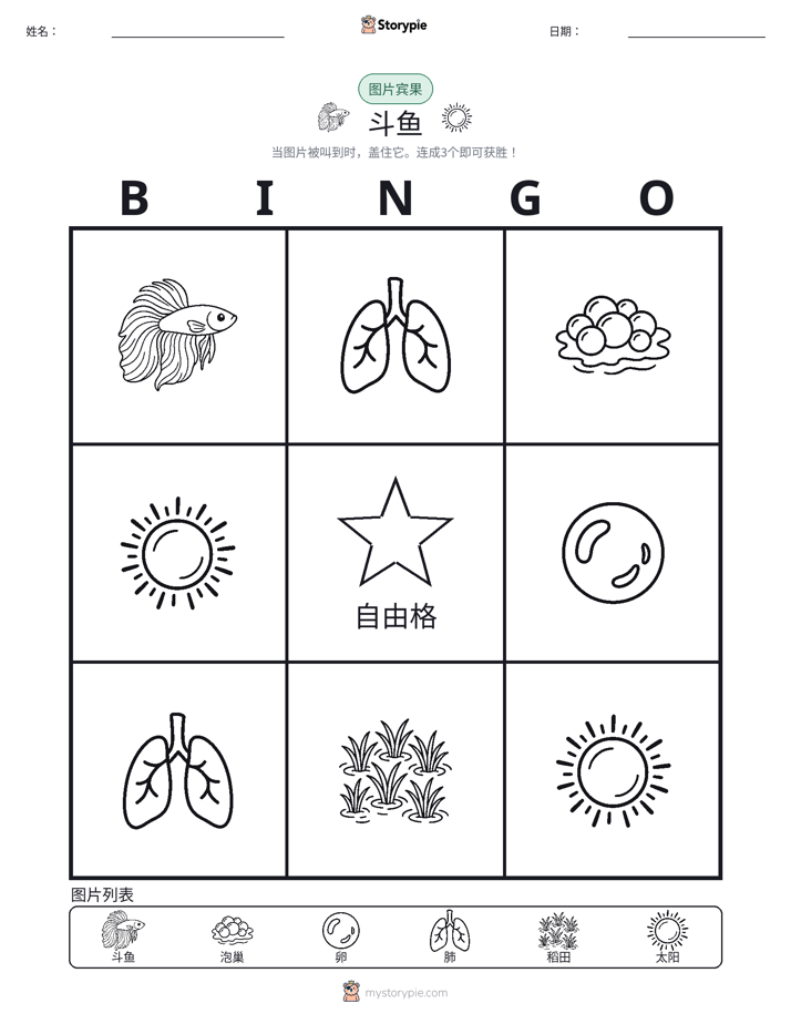 图片宾果