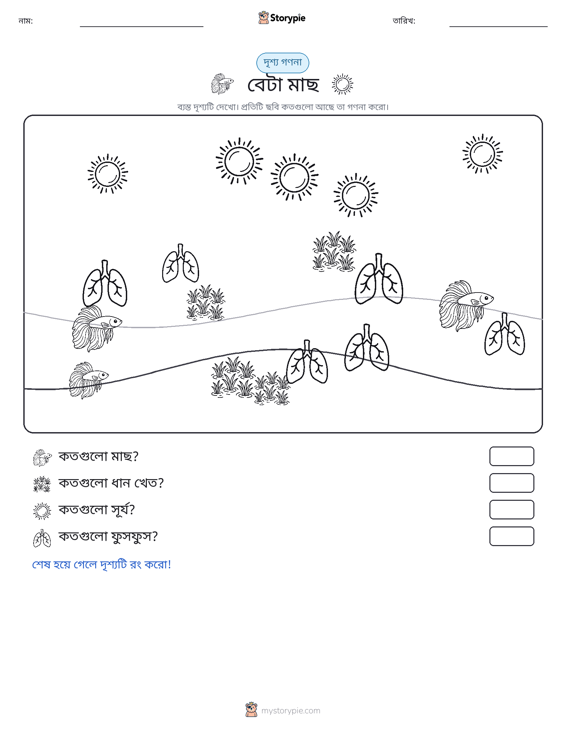 গণনা দৃশ্য