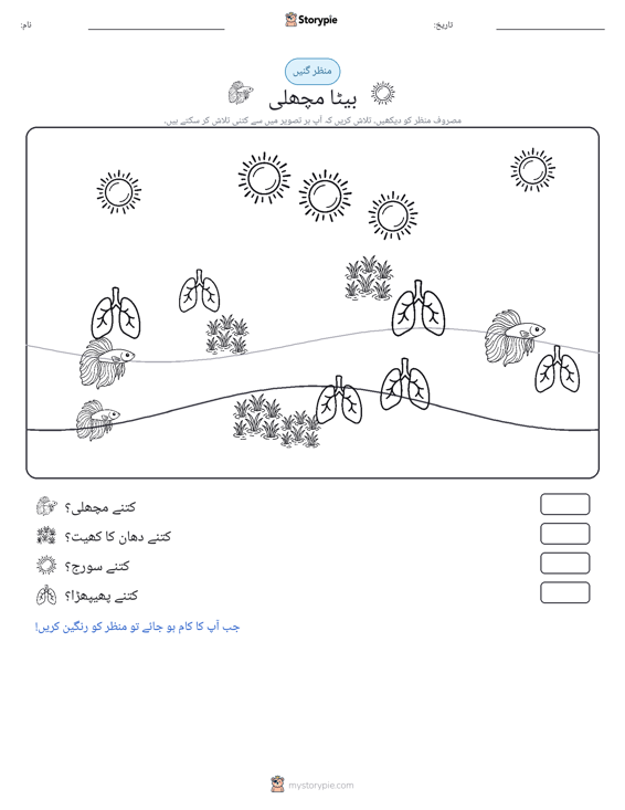 گنتی کا منظر