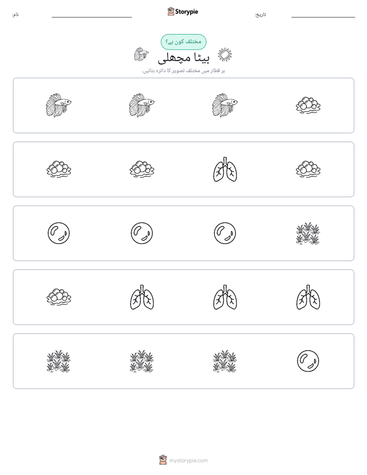 عجیب ایک