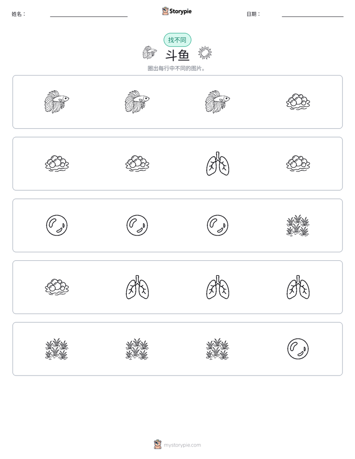 找不同