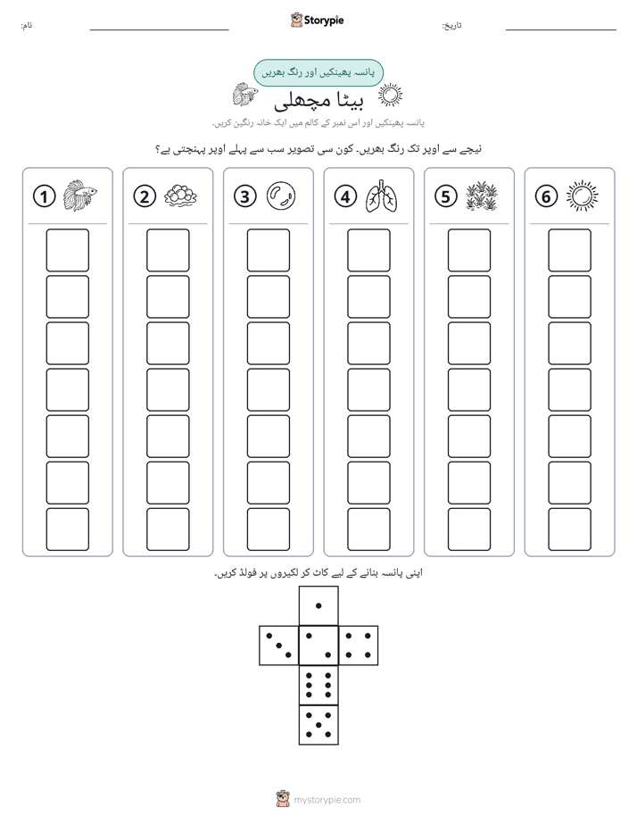 رول اور رنگ